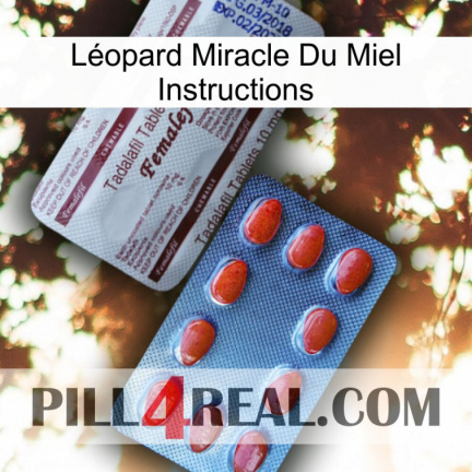 Léopard Miracle Du Miel Instructions 36